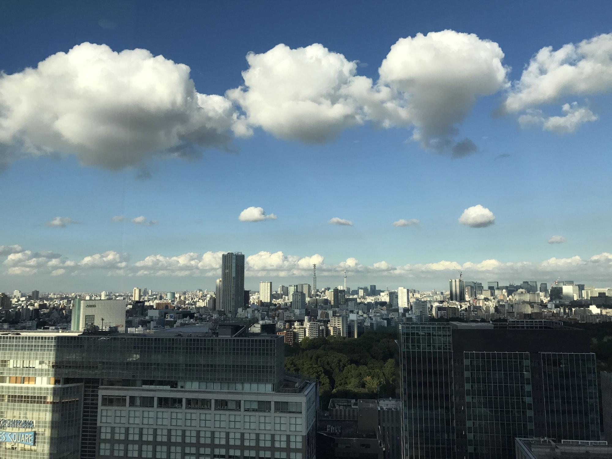 Odakyu Century Southern Tower Hotell 4*